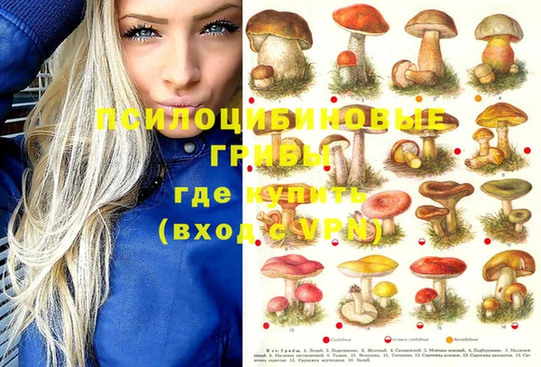 каннабис Алексеевка