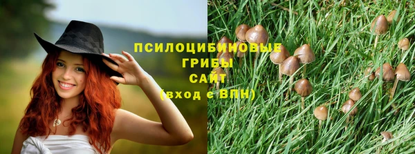 каннабис Алексеевка