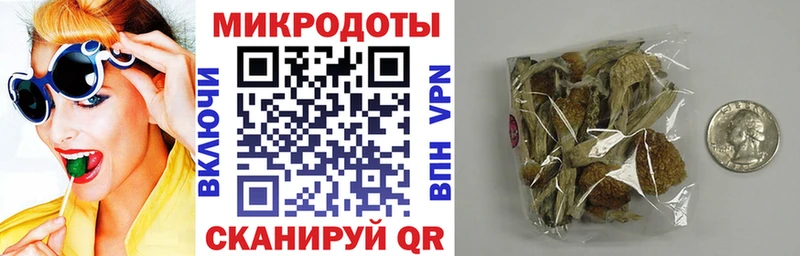 Галлюциногенные грибы Magic Shrooms  закладки  Палласовка 