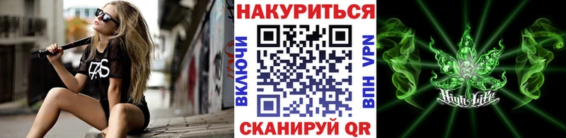 наркота  Палласовка  Канабис планчик 